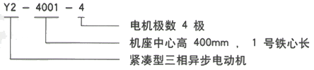 YR系列(H355-1000)高压YKK6303-8/1120KW三相异步电机西安西玛电机型号说明